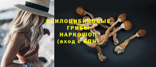 Альфа ПВП Вязники