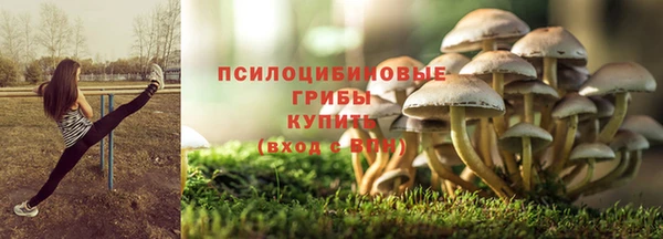 дживик Тихорецк