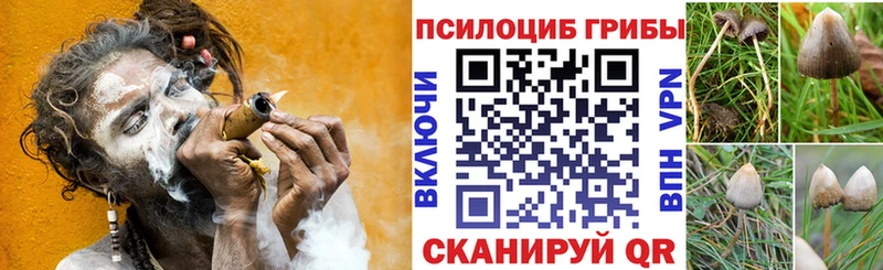 Галлюциногенные грибы Cubensis Дальнереченск