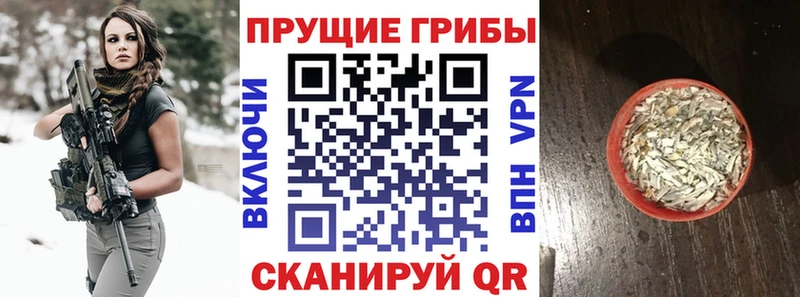 Галлюциногенные грибы мицелий  продажа наркотиков  Дальнереченск 
